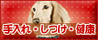 �y�b�g�̃C�G���[�y�[�W�E�y�b�g����S��