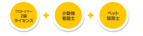 取得可能なライセンス