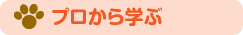 プロから学ぶ
