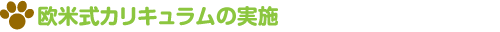 欧米式カリキュラムの実施