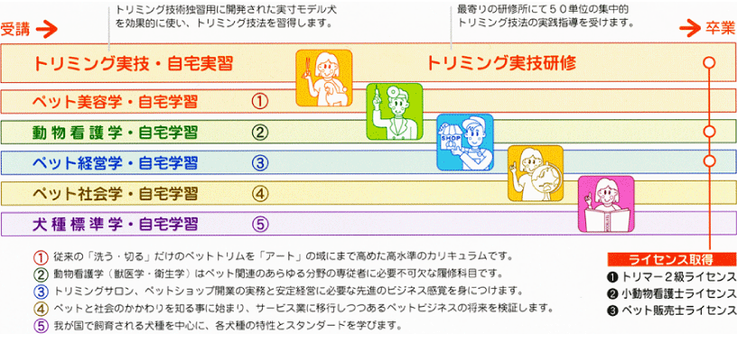 速成コースによるライセンス取得まで