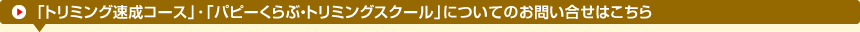 お気軽にお問い合せください