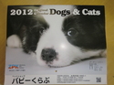 ２０１２年パピーくらぶカレンダーこのカレンダーを３０名様にプレゼント