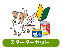 �X�^�[�^�[�Z�b�g