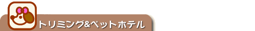 �g���~���O&�y�b�g�z�e��