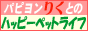 パピヨン「りく」とのハッピーペットライフ
