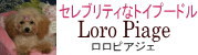 トイプードル とティーカッププードル専門ブリーダーのロロピアジェ