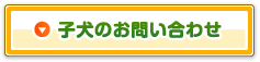 子犬のお問い合せ