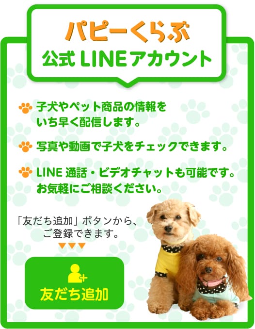 パピーくらぶ公式LINEアカウント