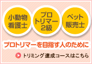 トリマー速成コース