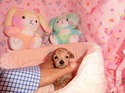 ５月１０日生まれの男の子4