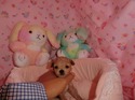 ５月１０日生まれの男の子5