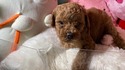 9月１４日生の男の子2